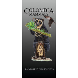 Mamíferos Colombia