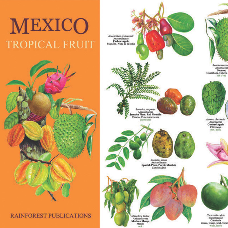 Frutas Tropicales México