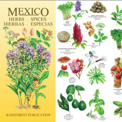 Hierbas y Especias México
