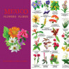Flores México